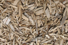 biomass boilers Whitslaid